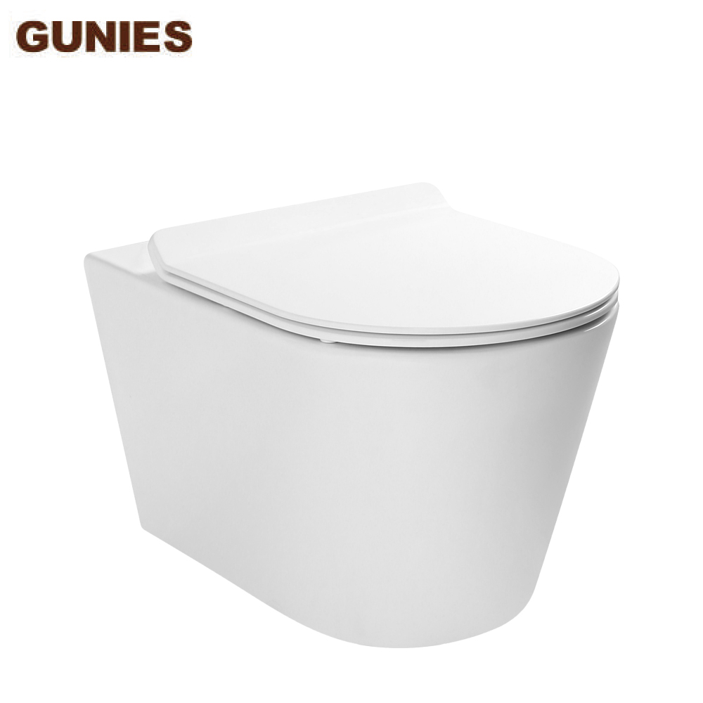 wall hung toilet manufacturer