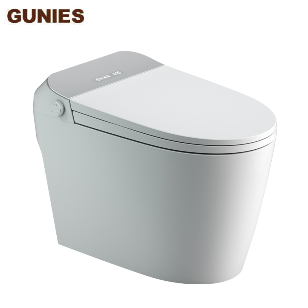 one piece smart toilet manufacturer