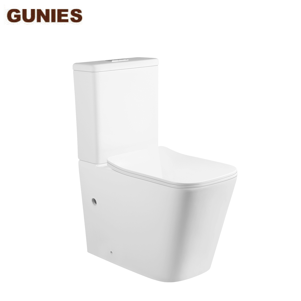 dual flush two piece toilet